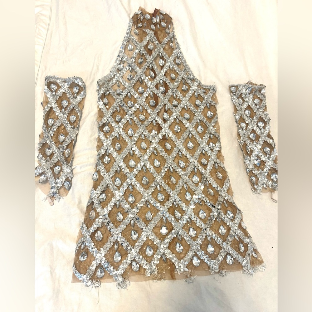 Silver and Tan Embellished Dress Set